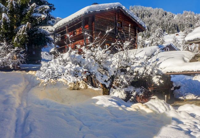 Fassade des Chalets im Bild