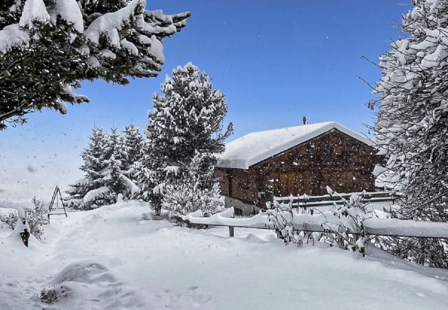 freistehendes Haus in Chalais - Chalet Albarose - Vercorin