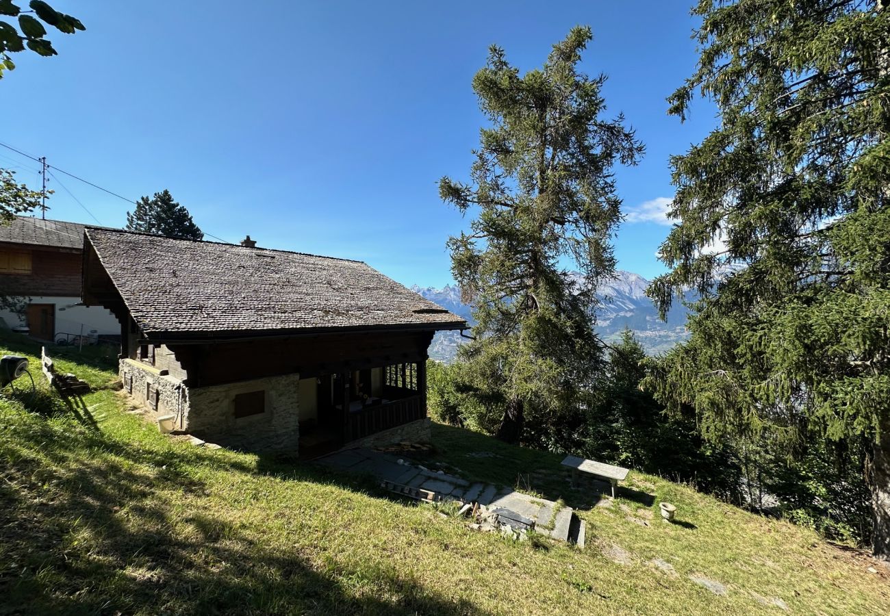 Chalet in Veysonnaz - Chalet Praz Fontanettaz - 4 Vallées - Swiss Alps