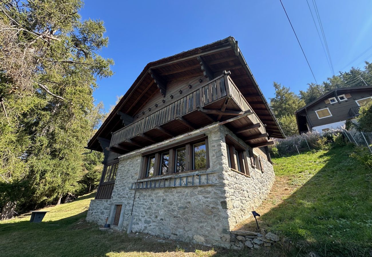 Chalet in Veysonnaz - Chalet Praz Fontanettaz - 4 Vallées - Swiss Alps