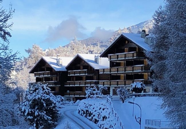  in Les Agettes - Les Mayens de l'Ours - 4 Vallées