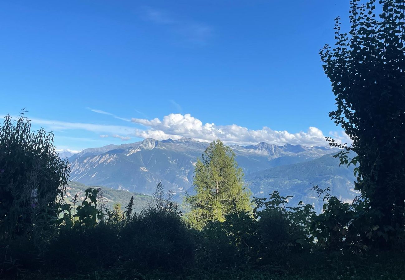 Chalet in Anzère - Tiny House facing the Alps - Ski in and out